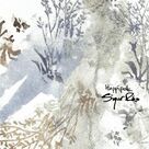 Cover icon of Hoppipolla sheet music for voice, piano or guitar by Sigur Ros, Georg Holm, Jon Birgisson, Kjartan Sveinsson and Orri Dryasson, intermediate skill level