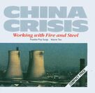 Cover icon of Working With Fire And Steel sheet music for voice, piano or guitar by China Crisis, Eddie Lundon and Gary Daly, intermediate skill level