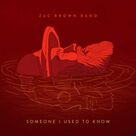 Cover icon of Someone I Used To Know sheet music for guitar (chords) by Zac Brown Band, Andrew Wott, Benjamin Simonetti, Niko Moon, Shawn Mendes and Zac Brown, intermediate skill level