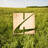 Down Yonder voice piano or guitar sheet music
