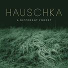 Cover icon of Hike sheet music for piano solo by Hauschka and Volker Bertelmann, classical score, intermediate skill level