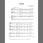 Nativity sheet music download