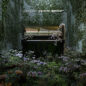 Le Jardin De Monsieur Monet sheet music download
