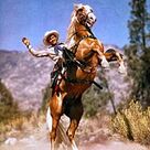 Cover icon of A Four Legged Friend sheet music for voice, piano or guitar by Jack Brooks, intermediate skill level