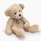 Cover icon of Me And My Teddy Bear sheet music for voice, piano or guitar by Jack Winters and J. Fred Coots, intermediate skill level