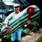 Cover icon of The Marrow Song (Oh What A Beauty) sheet music for voice, piano or guitar by Edrich Siebert, intermediate skill level