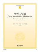 Cover icon of O du mein holder Abendstern, from the opera "Tannhäuser", WWV 70 sheet music for baritone and piano by Richard Wagner, classical score, easy/intermediate skill level