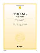 Cover icon of Ave Maria sheet music for alto and piano by Anton Bruckner, classical score, easy/intermediate skill level