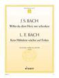 Willst du dein Herz mir schenken BWV 518 / Kein Halmlein wachst auf Erden sheet music download