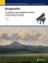 Celtic Harp Op. 105 No. 11 sheet music download