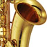 Tenor Saxophone Solo