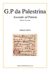 Cover icon of Ascendo ad Patrem (single parts) sheet music for five voices or choir by Giovanni Perluigi Da Palestrina, classical score, intermediate skill level