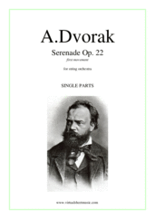Cover icon of Serenade Op. 22, first movement (parts) sheet music for string orchestra by Antonin Dvorak, classical score, intermediate/advanced skill level
