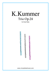 Cover icon of Trio Op.24 sheet music for three flutes by Kaspar Kummer, classical score, intermediate/advanced skill level