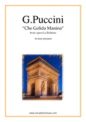 Giacomo Puccini: Che Gelida Manina, from the opera La Boheme