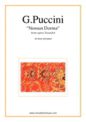 Giacomo Puccini: Nessun Dorma, from the opera Turandot