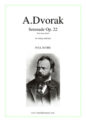 Antonin Dvorak: Serenade Op. 22, first movement (COMPLETE)