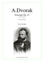 Antonin Dvorak: Serenade Op. 22, third movement (COMPLETE)