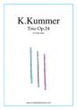 Kaspar Kummer: Trio Op.24